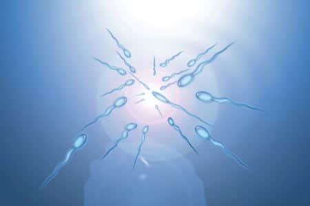 infertilità maschile