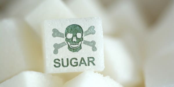 zucchero fa ingrassare accorcia vita