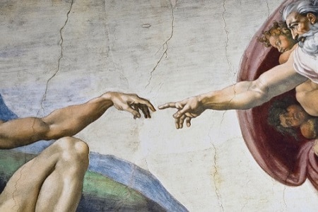 Michelangelo partner ideale