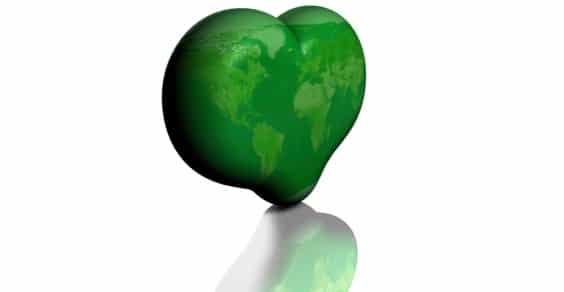 amore green economy