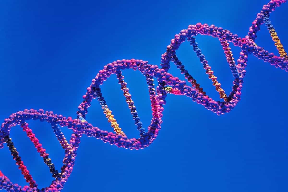 embrioni sani DNA