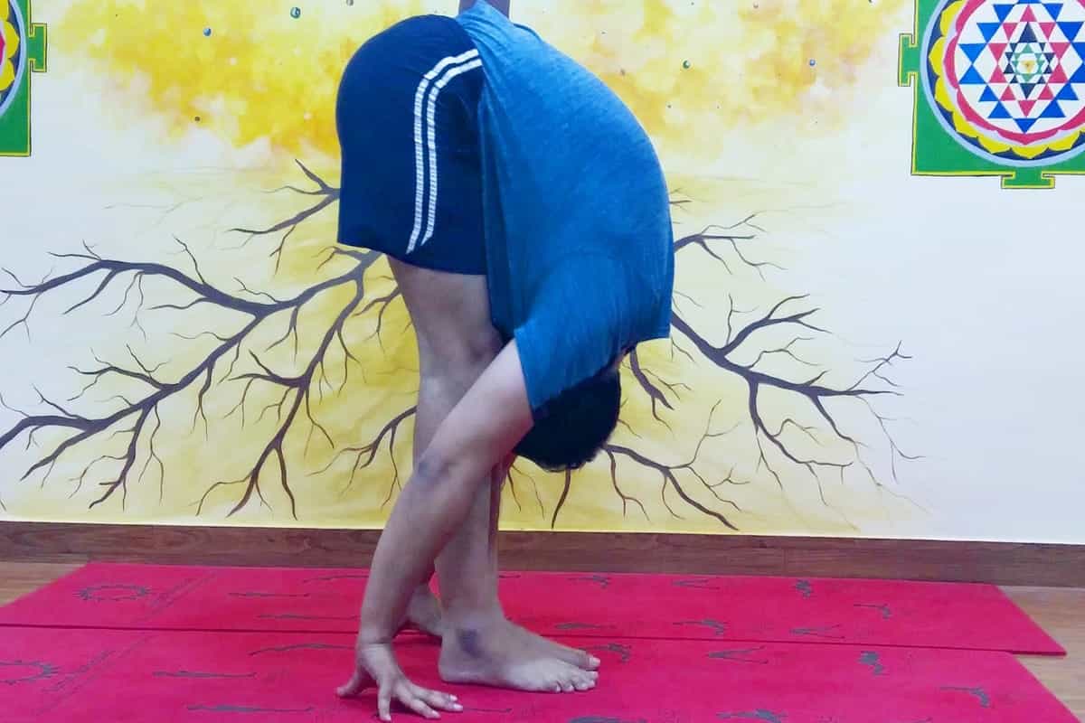 uttanasana