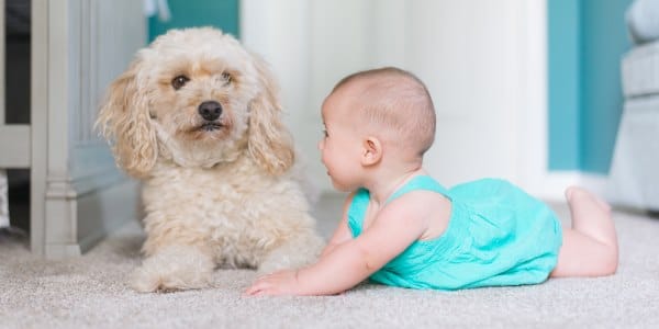 bambini cani infezioni