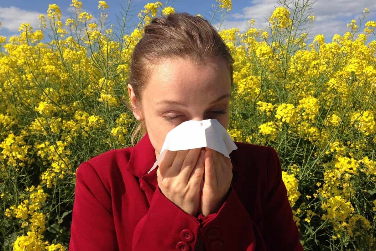 allergie al polline