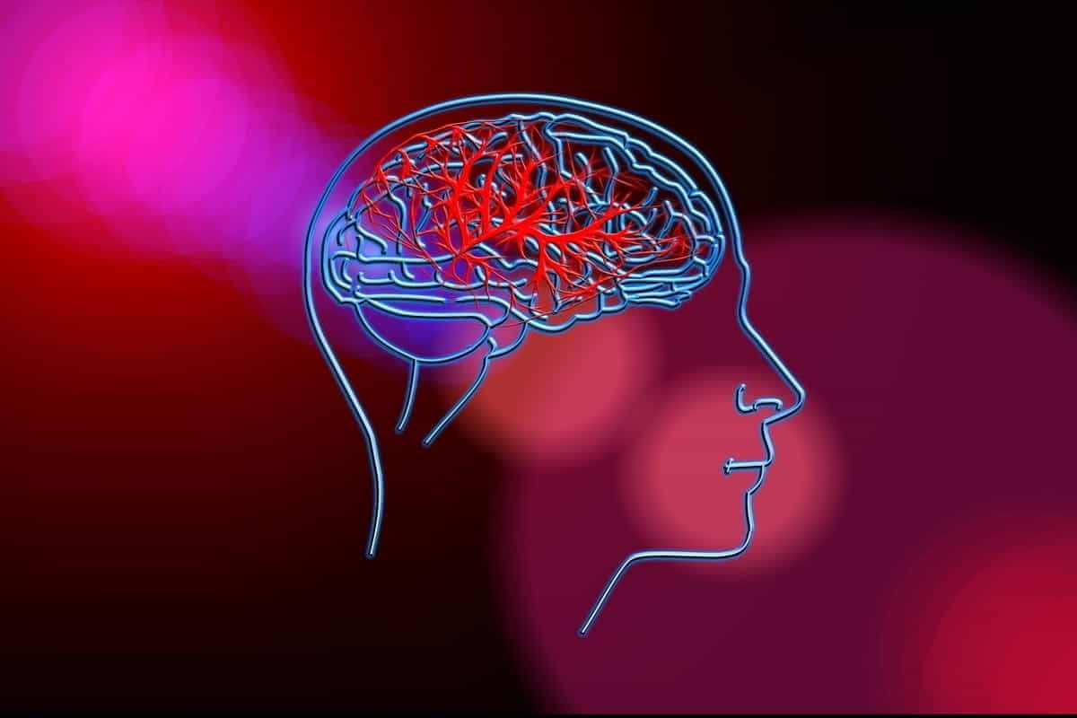 attività cerebrale cellulare