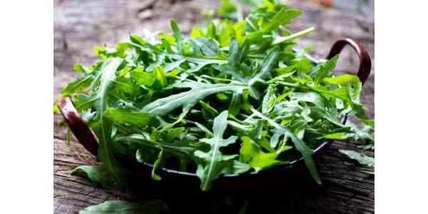 rucola