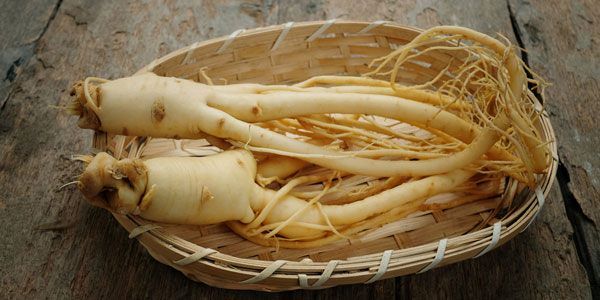 ginseng