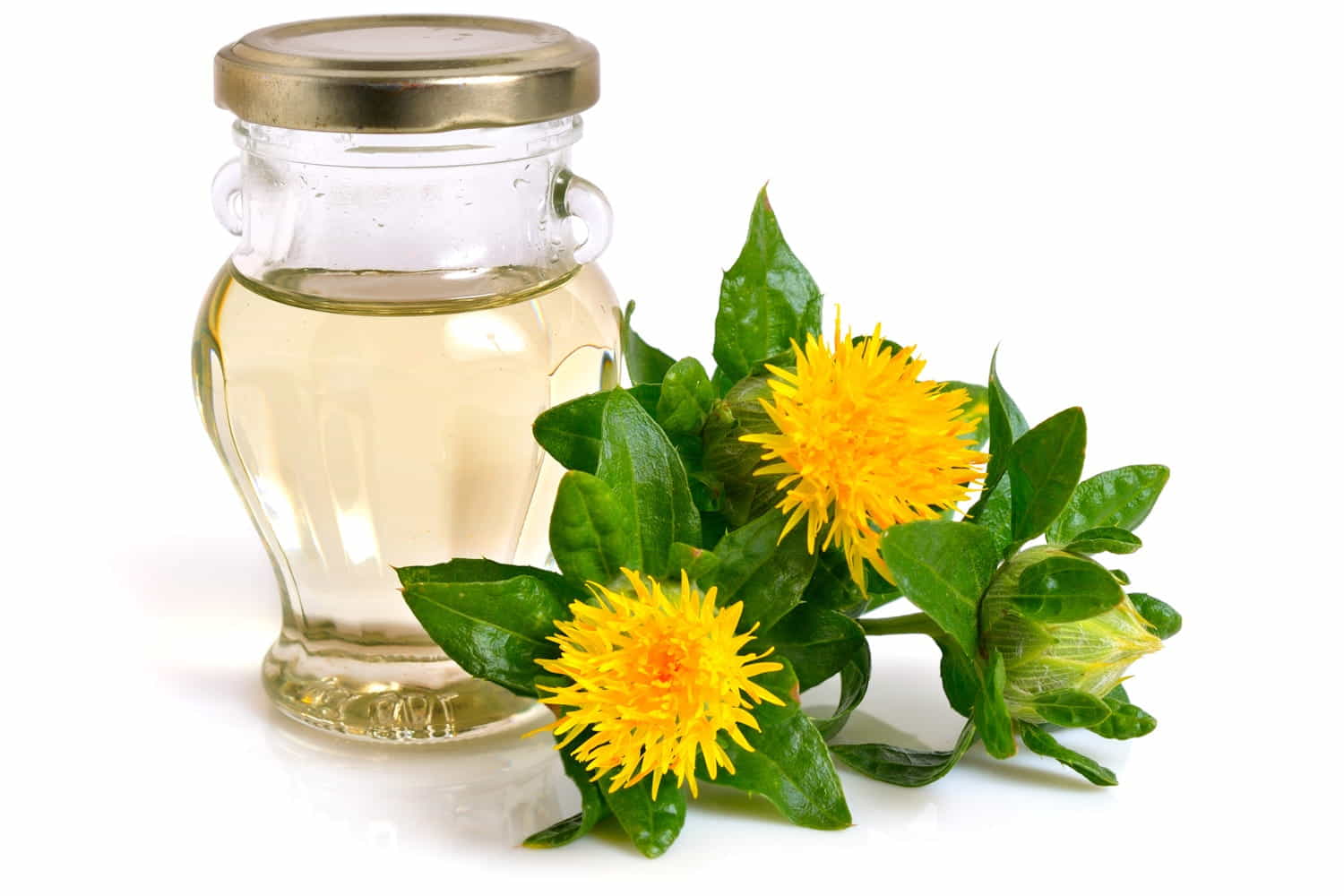 olio di cartamo