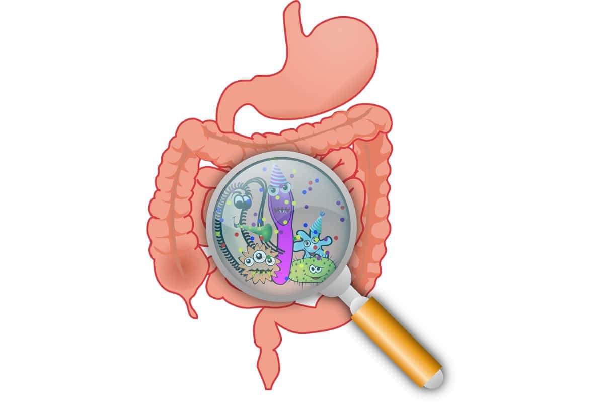 malattie digestive