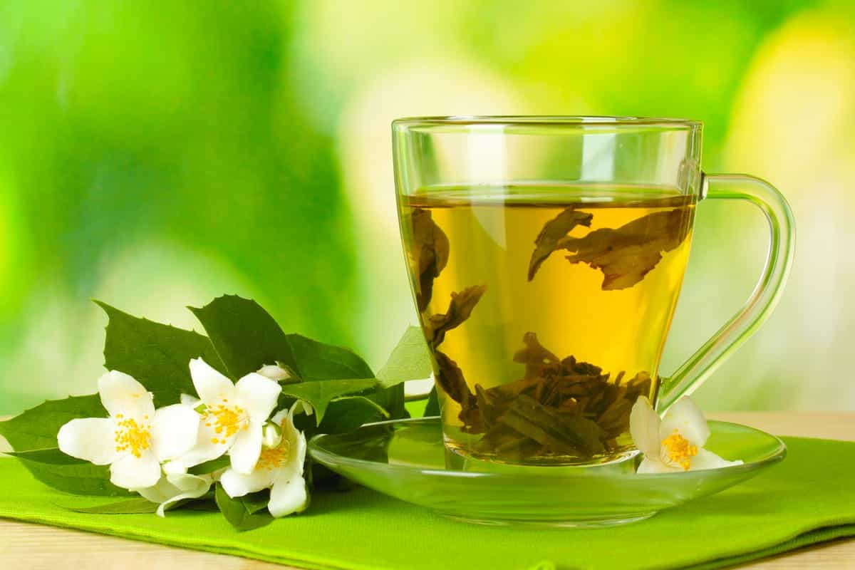 tè verde conservazione