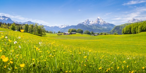 guardare paesaggio