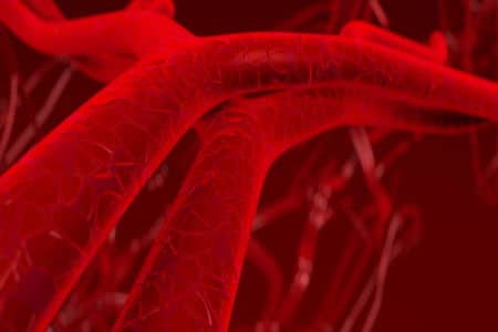 obesità rischi per le arterie