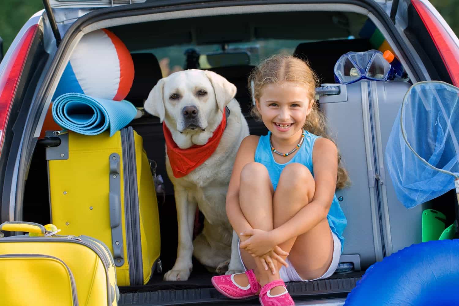 vacanza con il cane