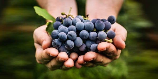 stress rientro mangiando uva