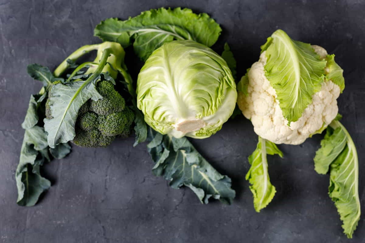 broccoli cavolo e cavolo verza