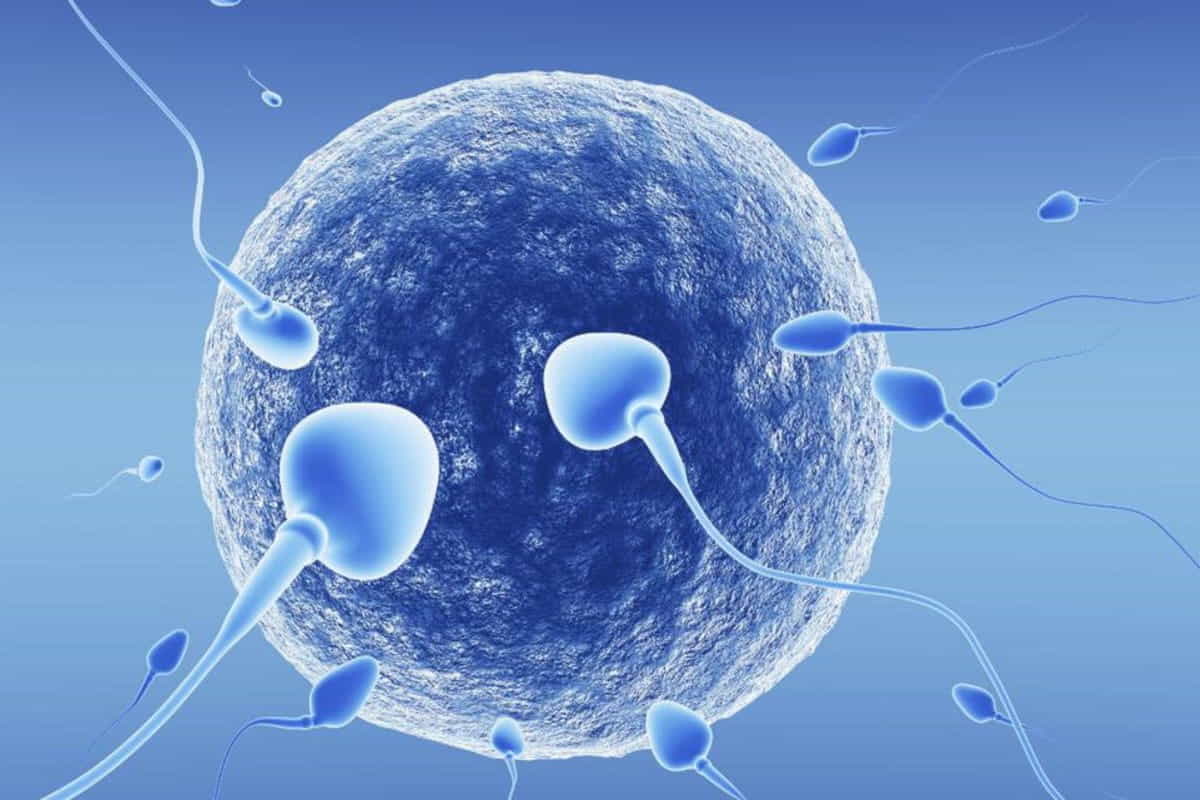 contraccezione maschile con gli ultrasuoni