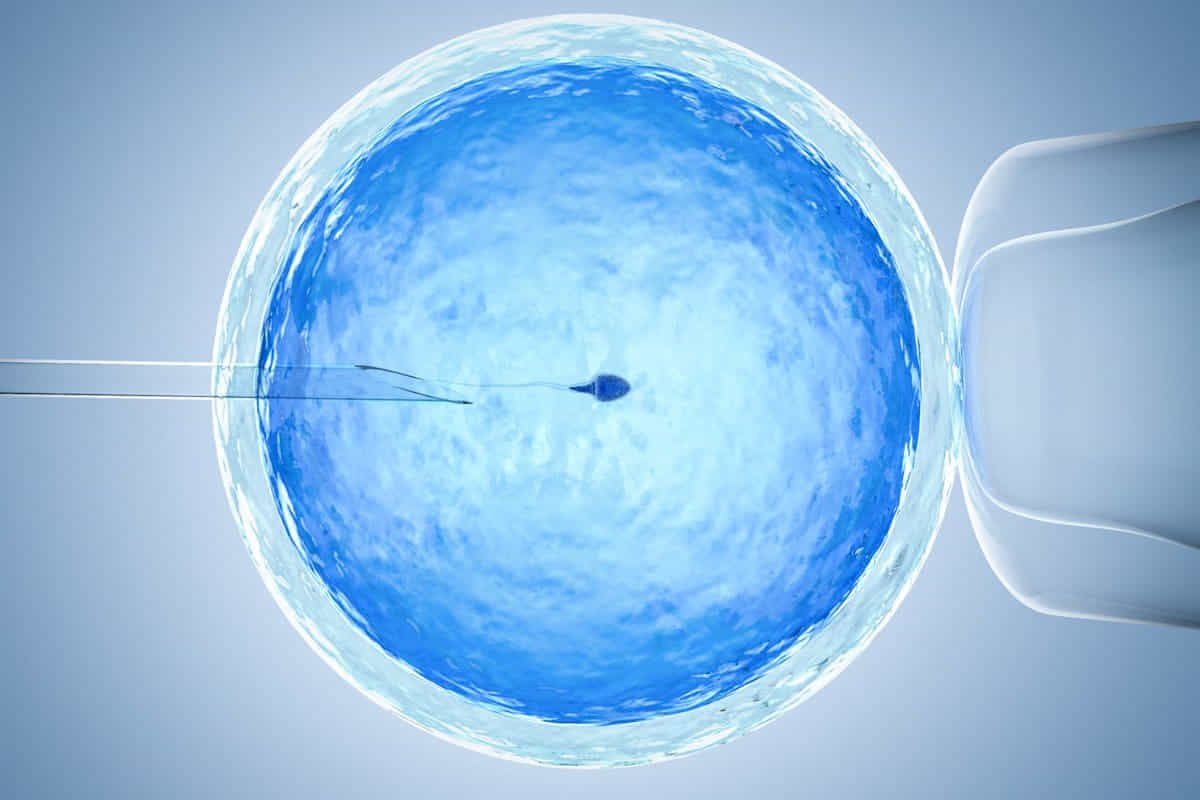 infertilità fecondazione assistita
