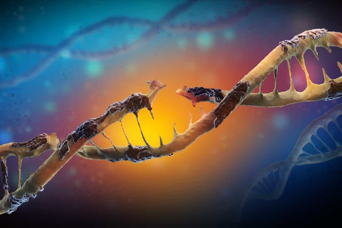 DNA distrofia muscolare
