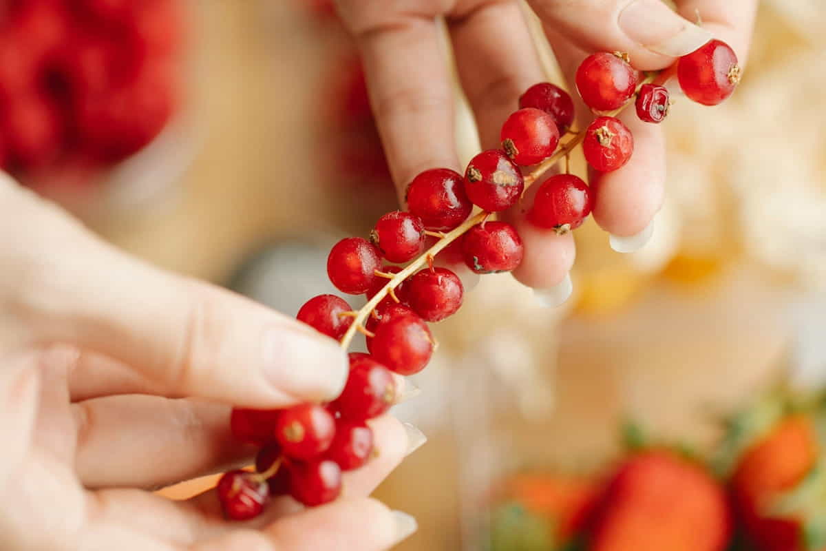 mirtillo rosso infezioni urinarie