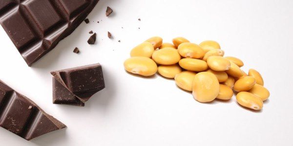 nutraceutica colesterolo cioccolato lupini