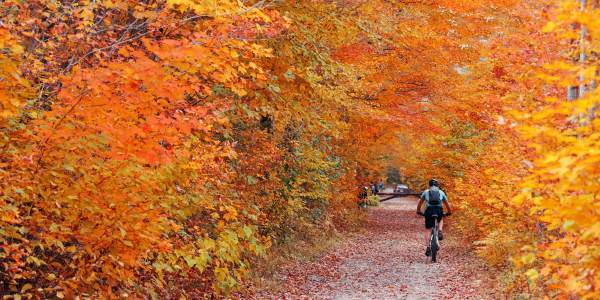 attività fisica autunno