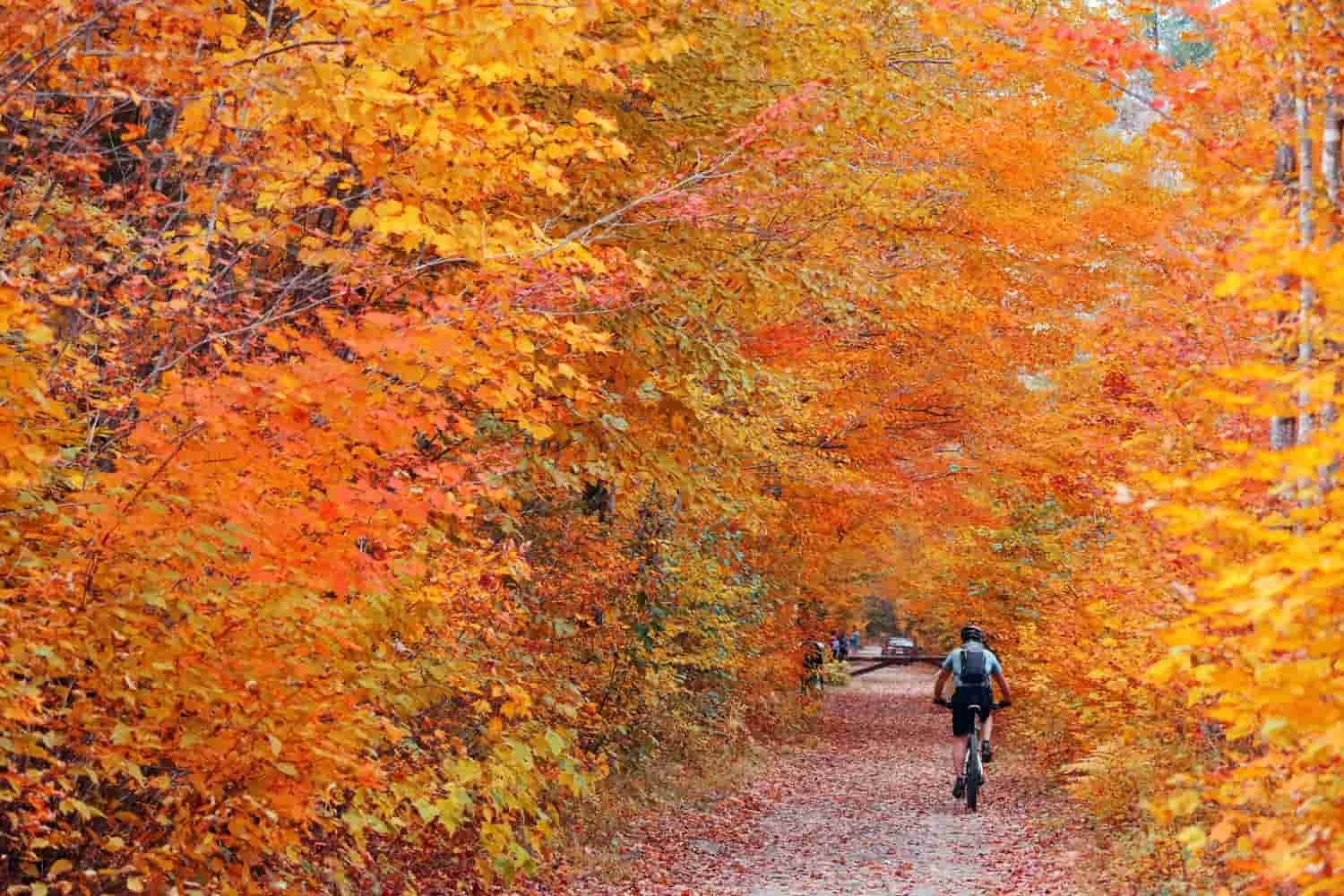 sport autunnale