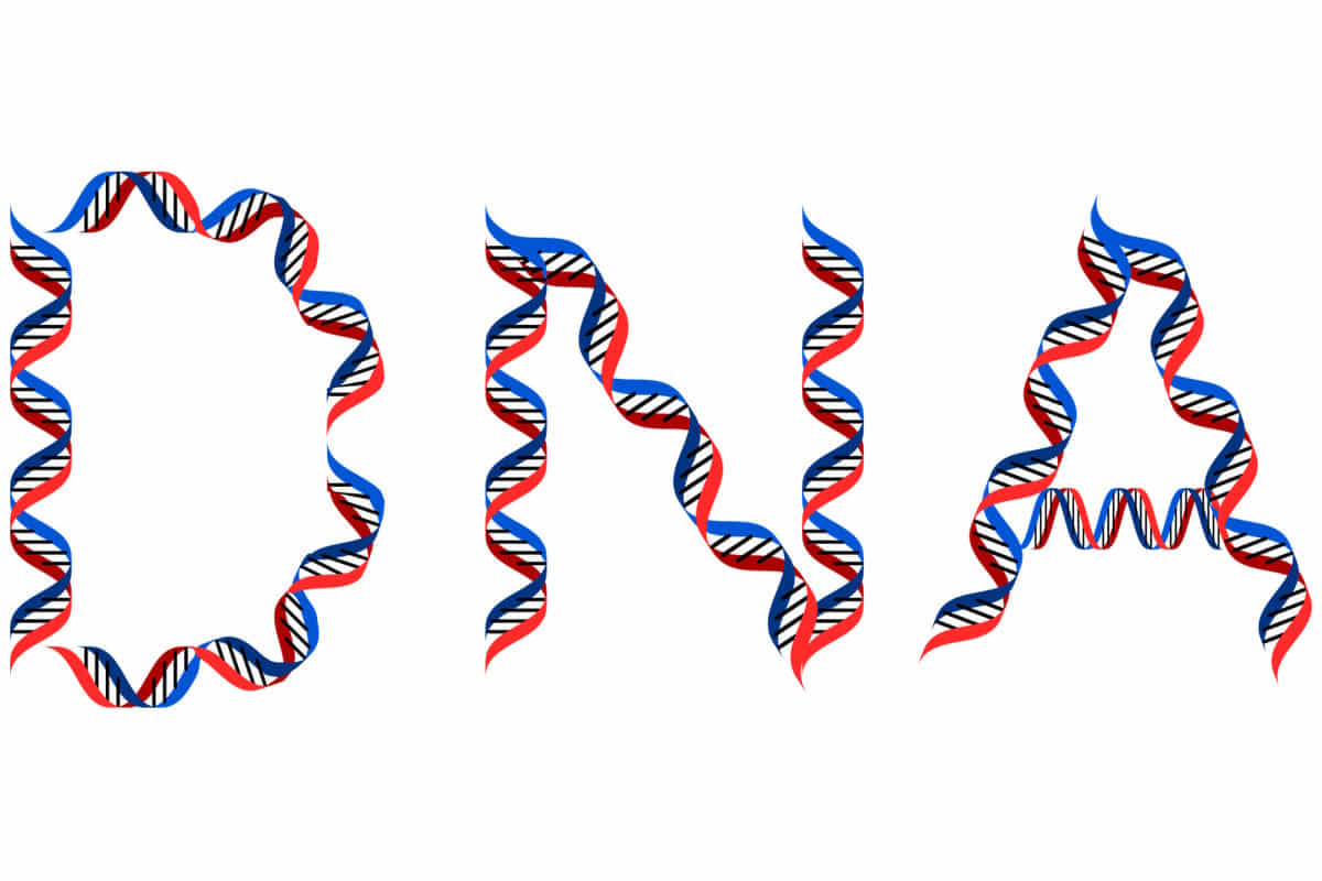 giovane dentro test DNA