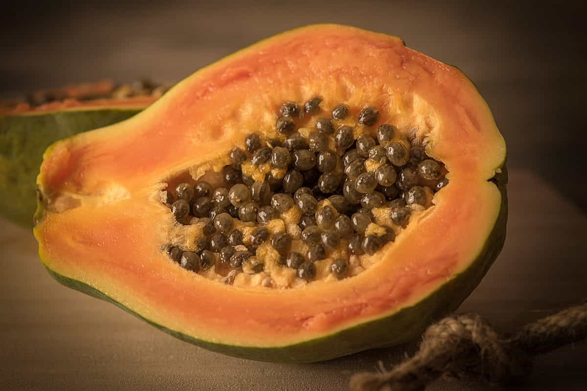 papaya fermentata