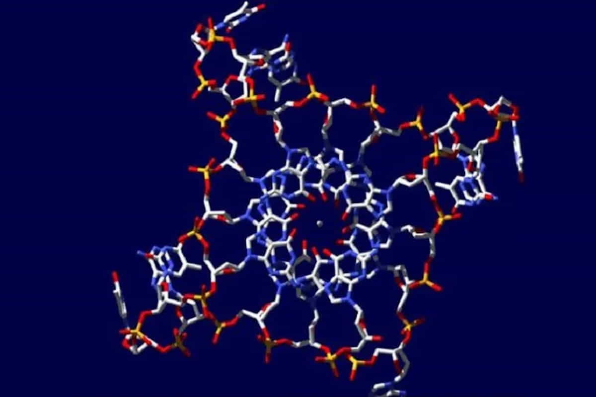 cancro DNA quadrupla elica