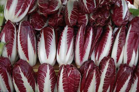 Radicchio Treviso Torino