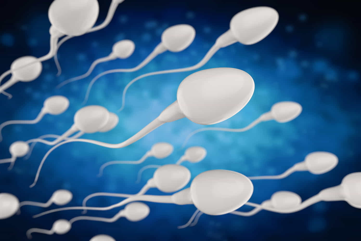 fertilità maschile alghe