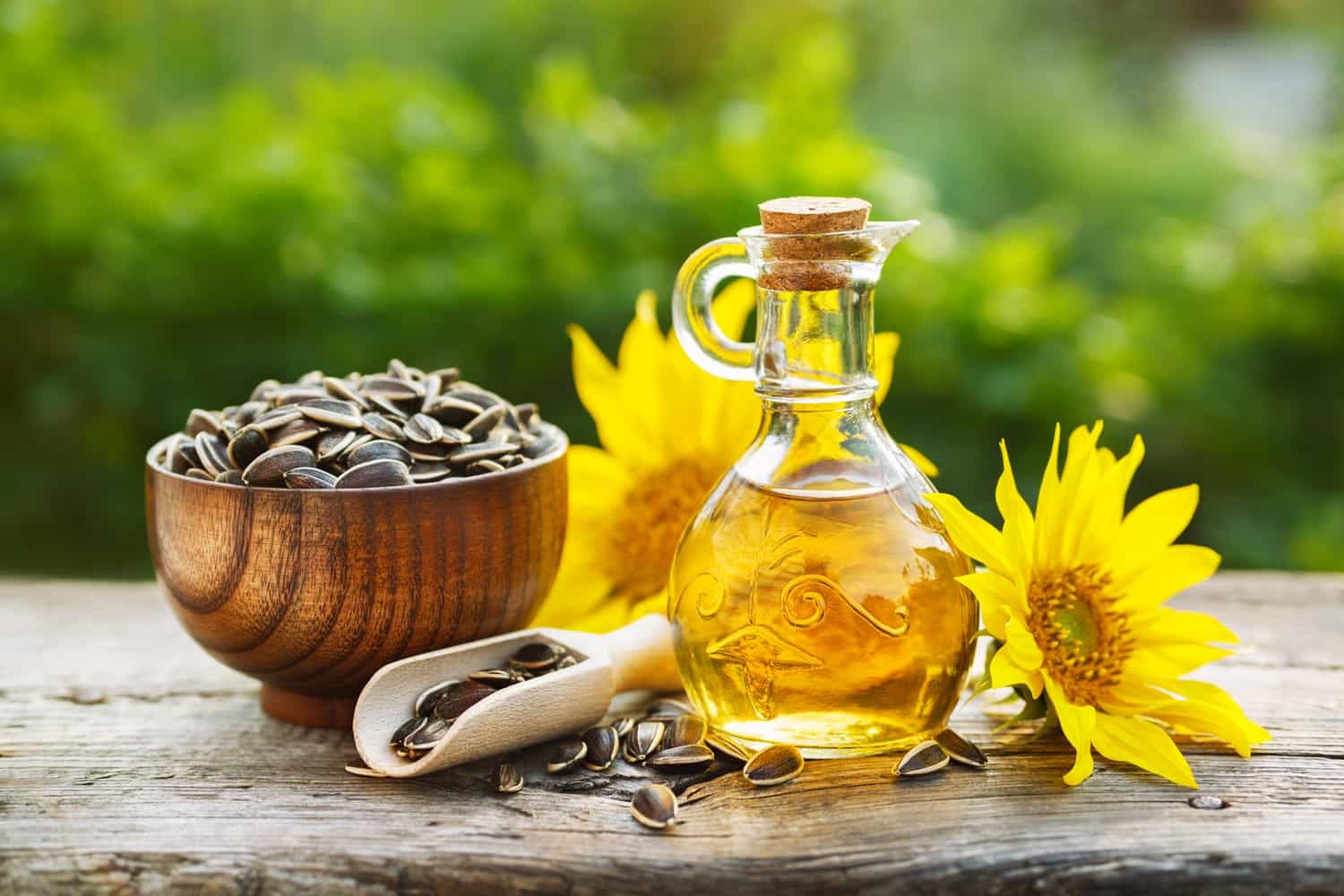 malattie cardiovascolari olio di semi