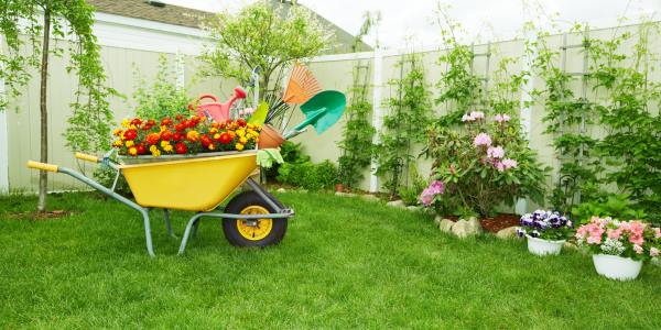 Corretta pulizia e manutenzione dei giardini