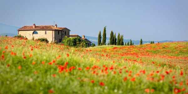 agriturismi biologici