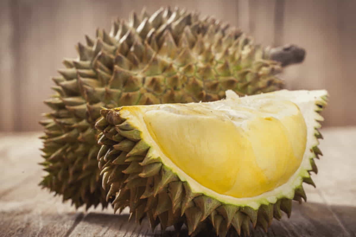 durian