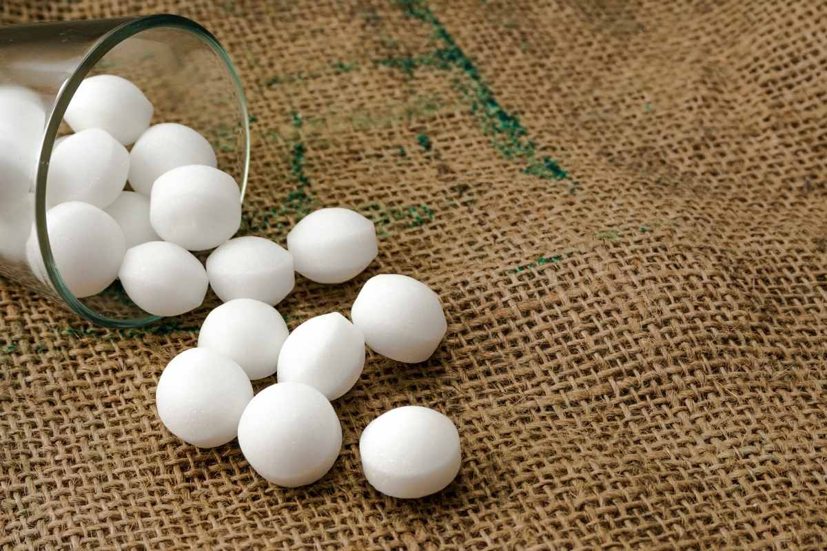 canfora e naftalina sono la stessa cosa