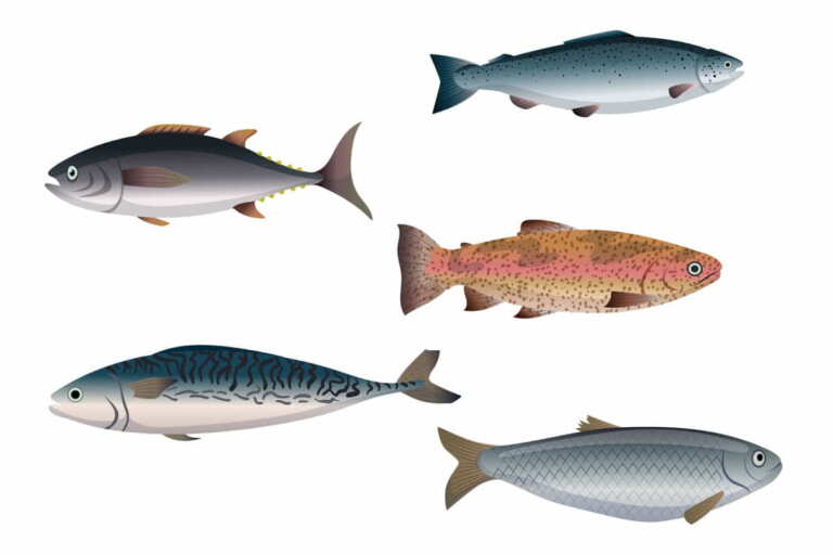 Carne E Pesce Senza Nichel: Una Guida Per Chi Soffre Di Allergie - Foto 2