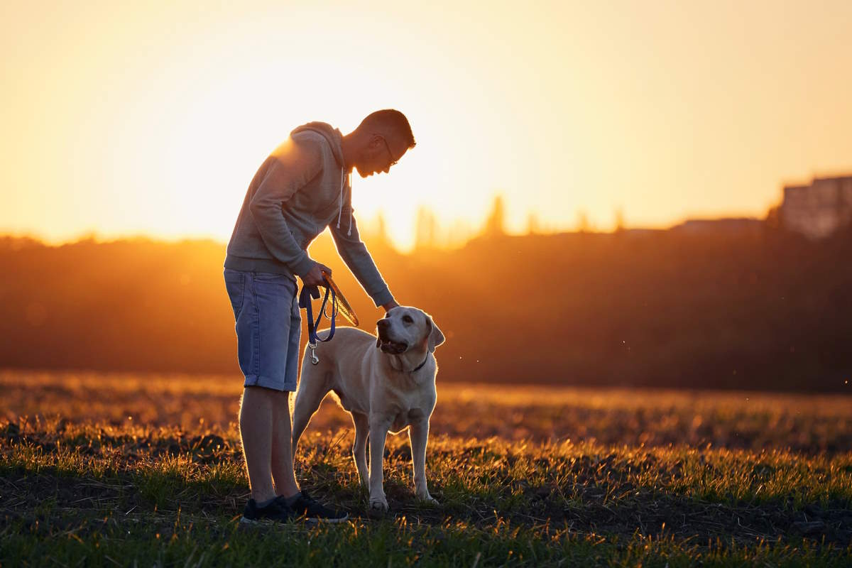 passeggiate cani