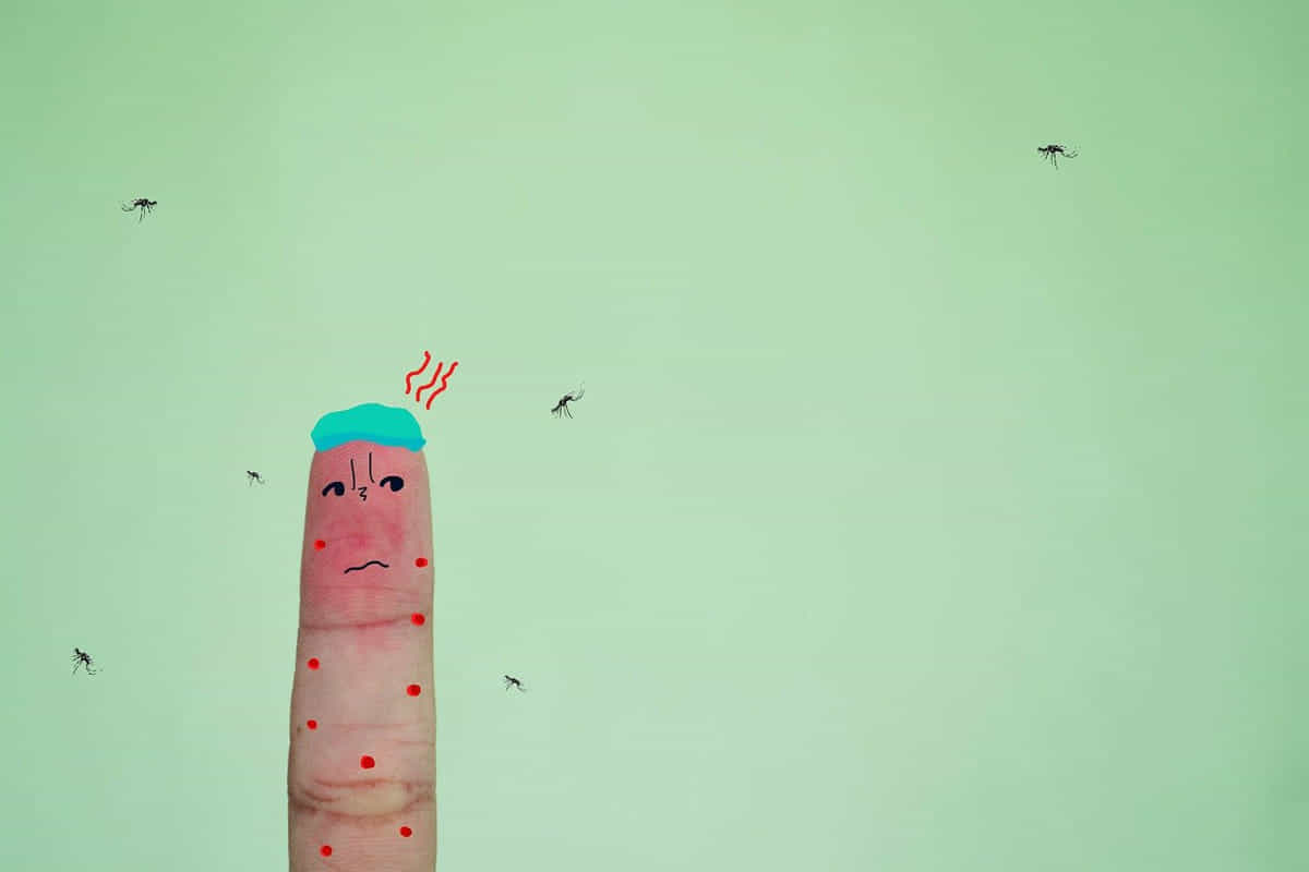 come difenderci dalle zanzare