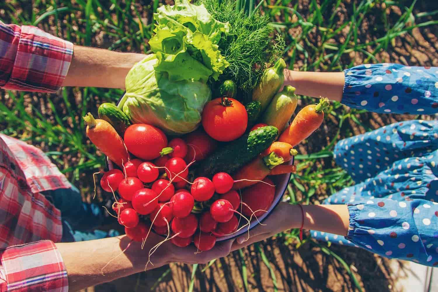 superfood di stagione