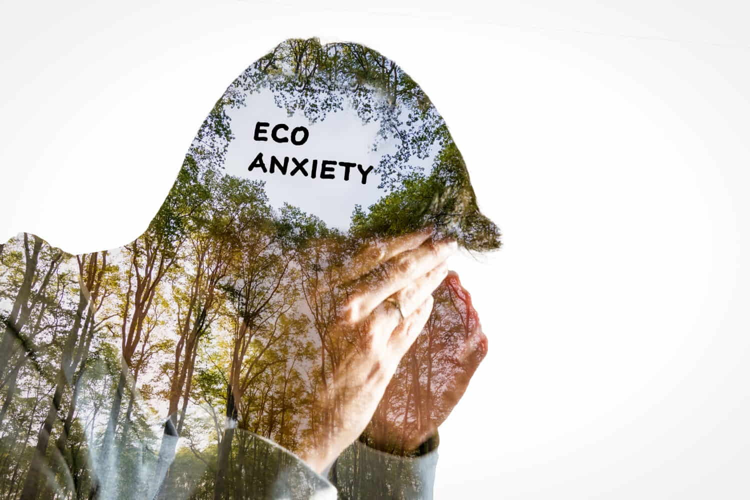 ecoansia