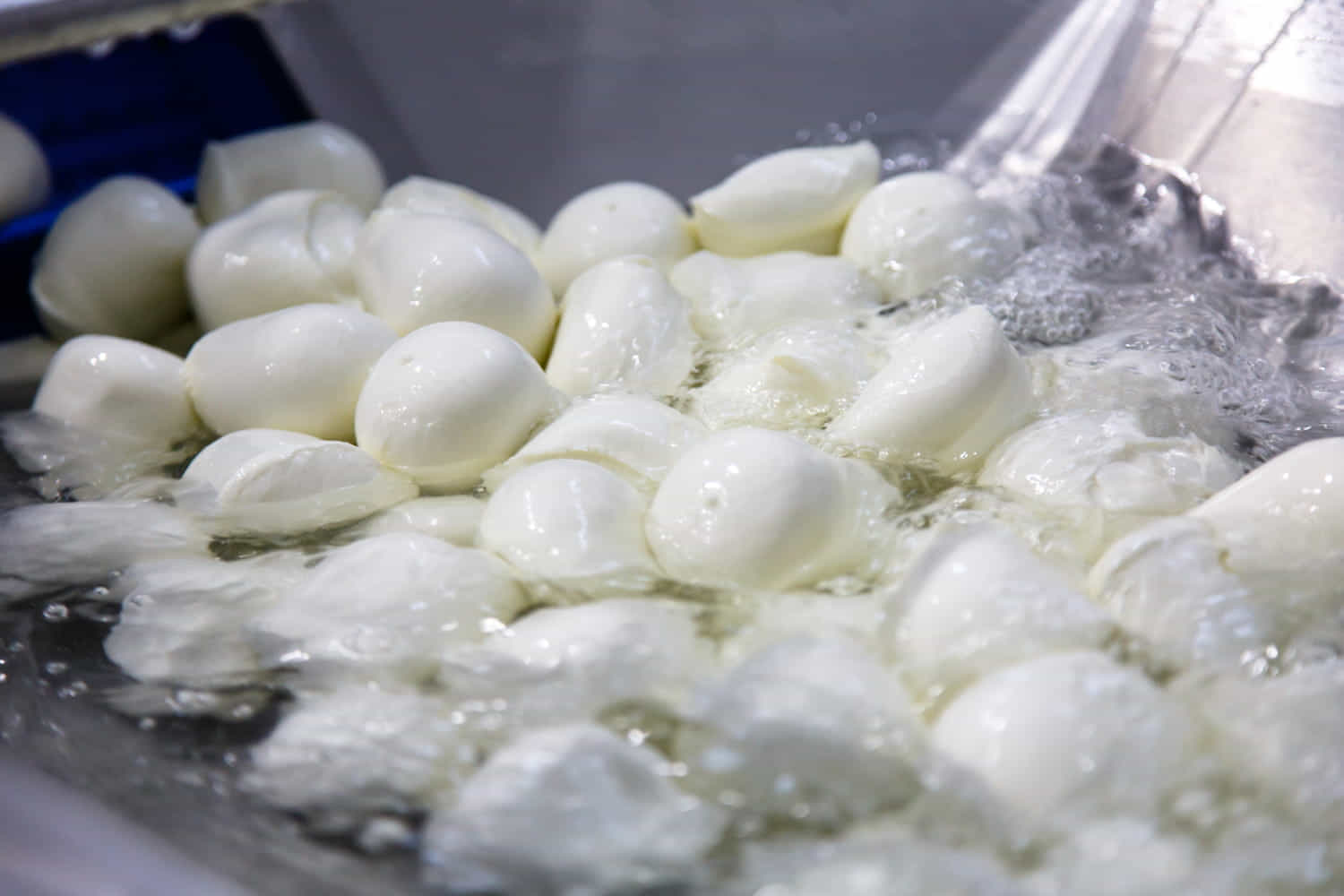 acido citrico nella mozzarella