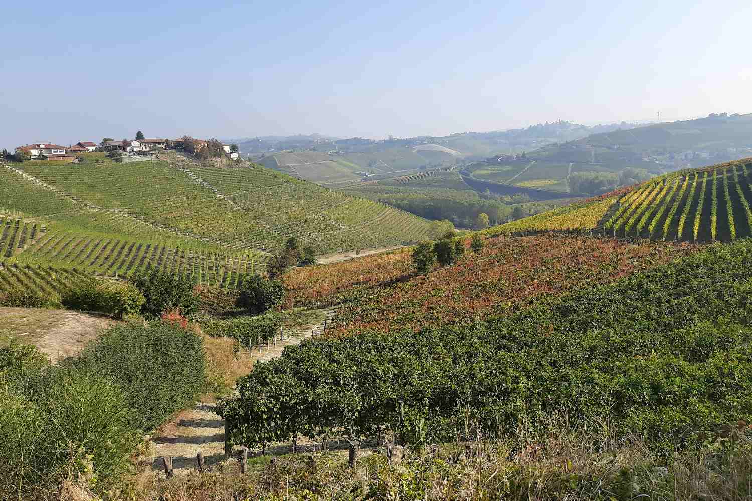 Un itinerario di 3 giorni nelle Langhe tra Grinzane Cavour, Monforte d’Alba, Barolo, Barbaresche e Neive in mezzo a colline, vigneti, borghi autentici e con una visita speciale alla Cappella delle Brunate a La Morra