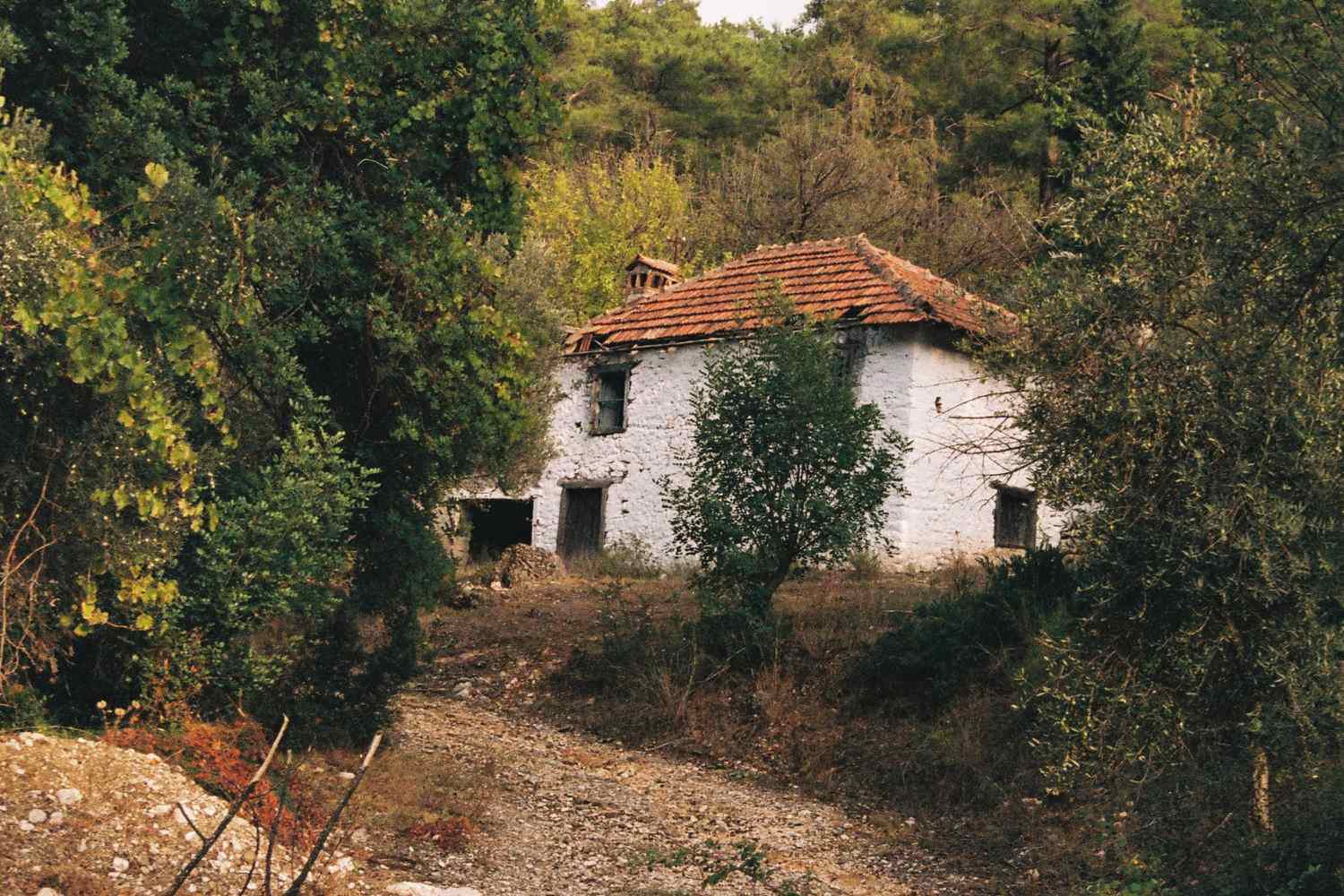casa nel bosco