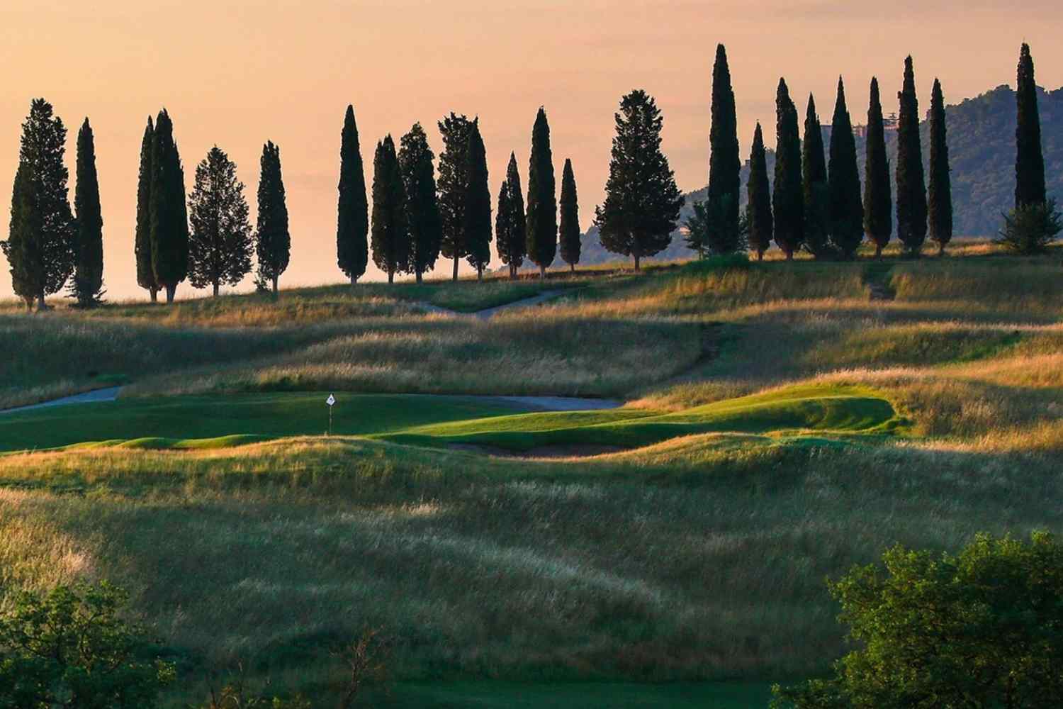 La Guida Grandi Giardini Italiani 2026 amplia la sua mappa di circa 150 luoghi verdi in dodici regioni con cinque nuove destinazioni che intrecciano paesaggio, arte e storia. Dai vigneti-sculpture park di Ca' del Bosco in Franciacorta alla storica Limonaia del Castèl sul Garda, dalla grande tenuta paesaggistica di Castiglion del Bosco in Val d'Orcia alla botanica ottocentesca di Villa La Quiete nelle Marche, fino al visionario Parco Trevelyan di Taormina.