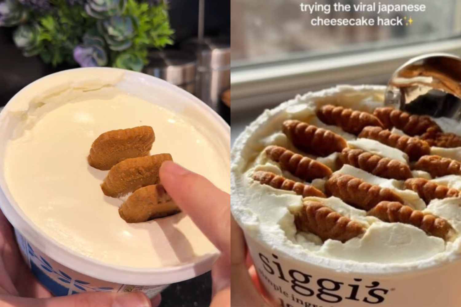 japanese cheesecake ricetta