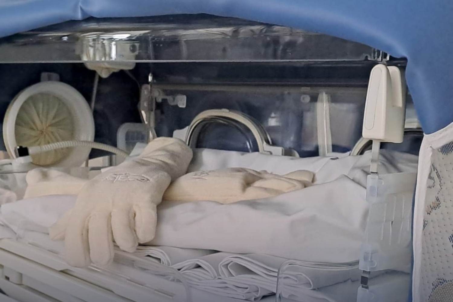 Regalo guanti Neonatologia