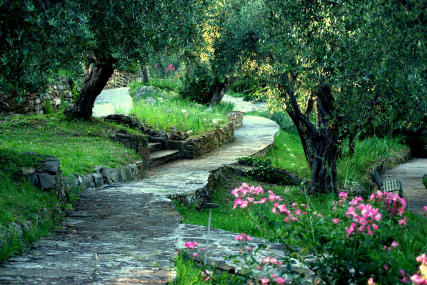 giardino iris firenze