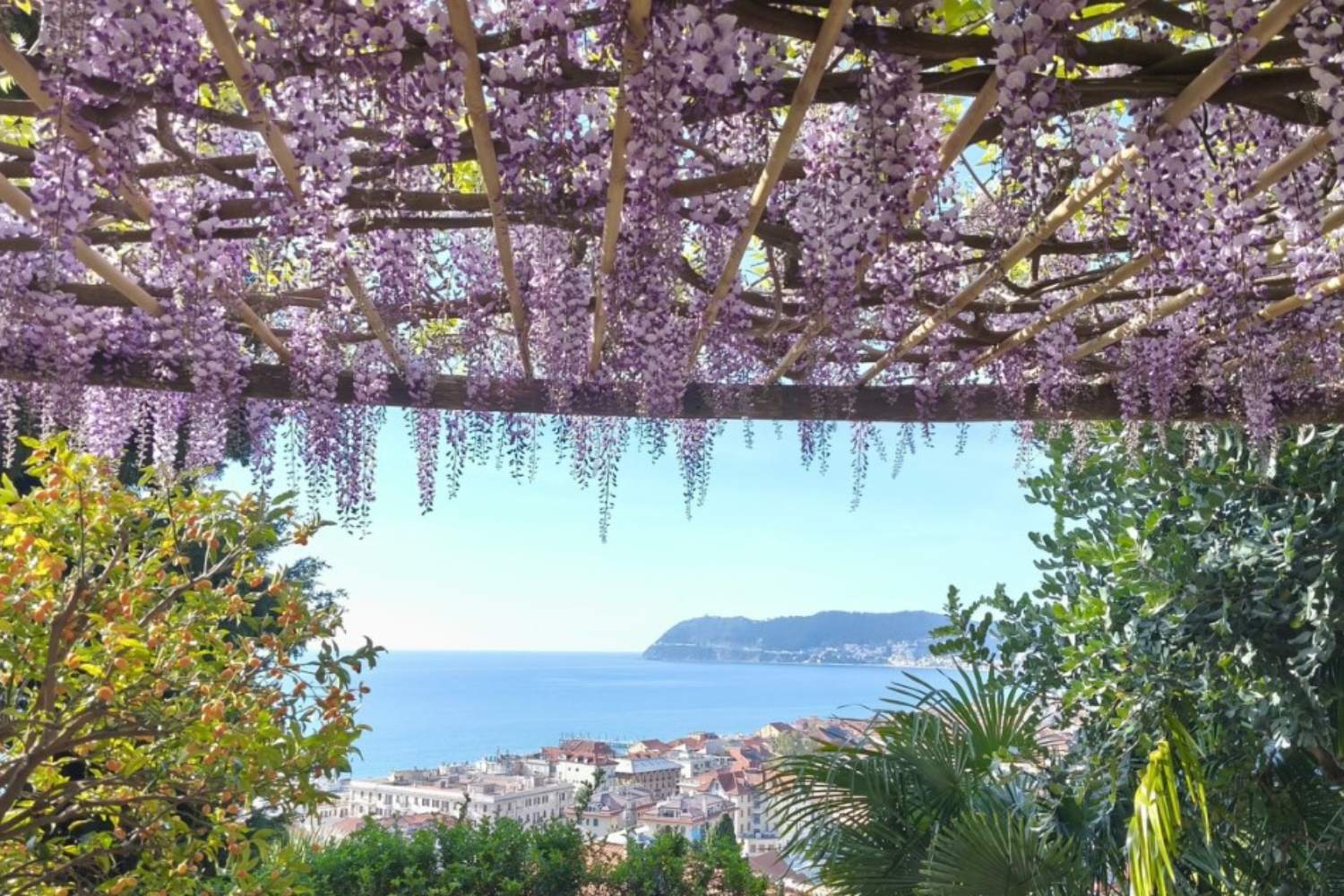 glicine villa pergola