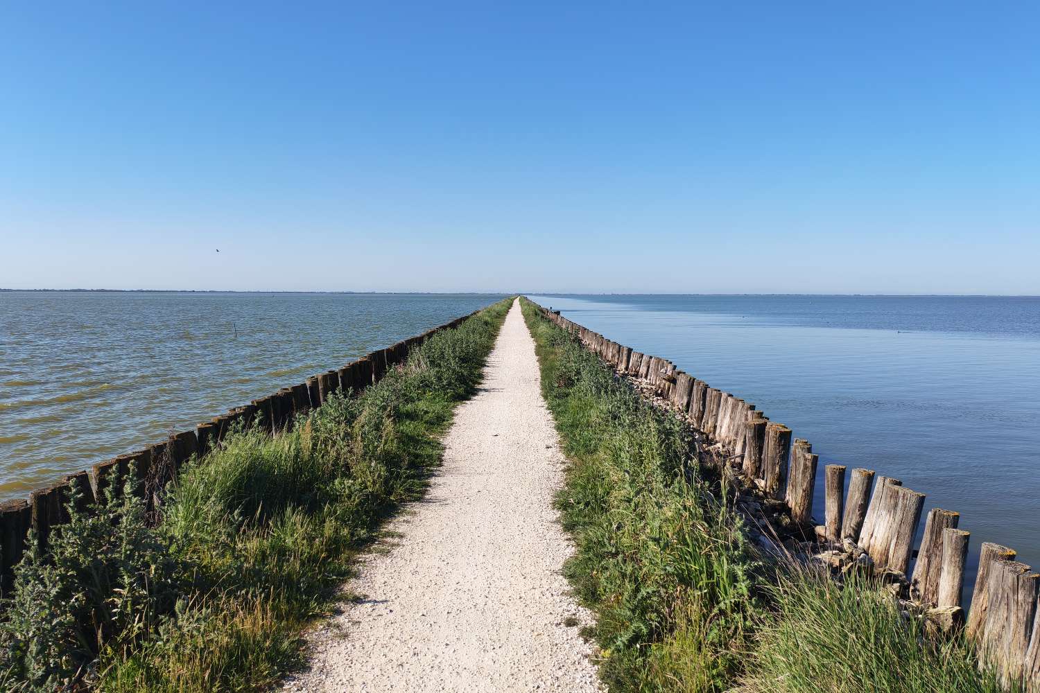 Quasi sei chilometri tra fenicotteri, laguna e silenzio assoluto: ti spiego perché percorrere l’Argine degli Angeli in bici su un una striscia di terra che sembra galleggiare è un’esperienza magnifica e suggestiva